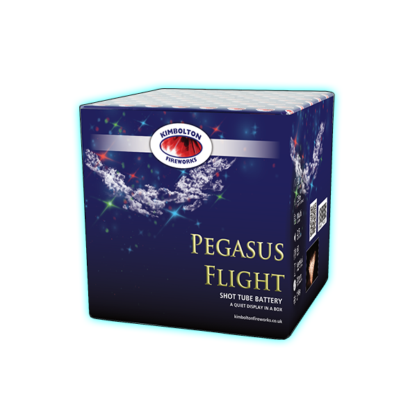 Pegasus Flight