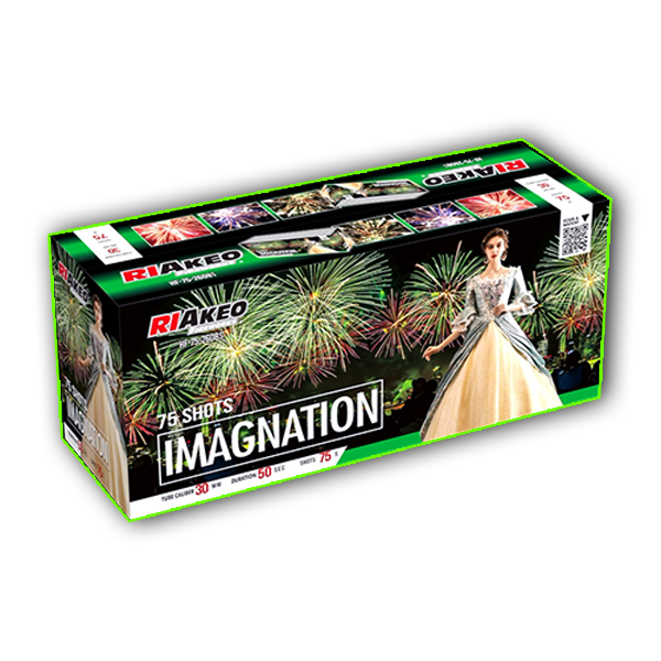 Imagination