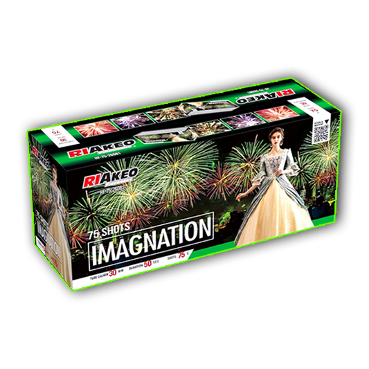 Imagination